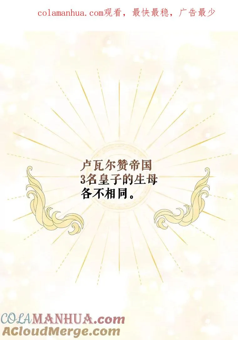 41.3皇子塞奇 第1页