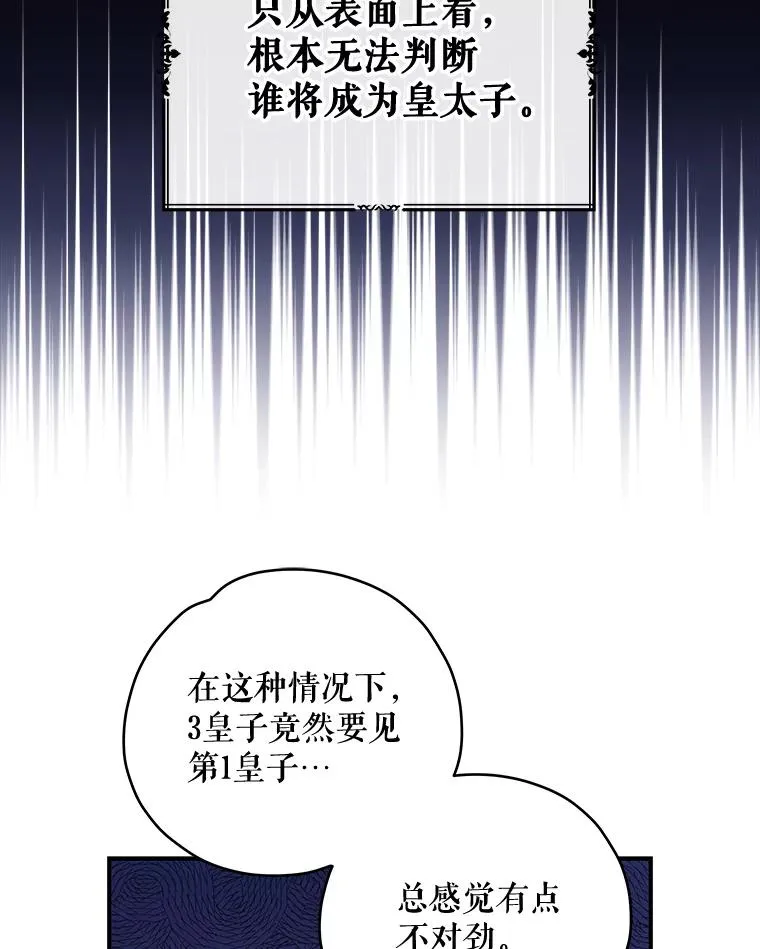 41.3皇子塞奇 第15页