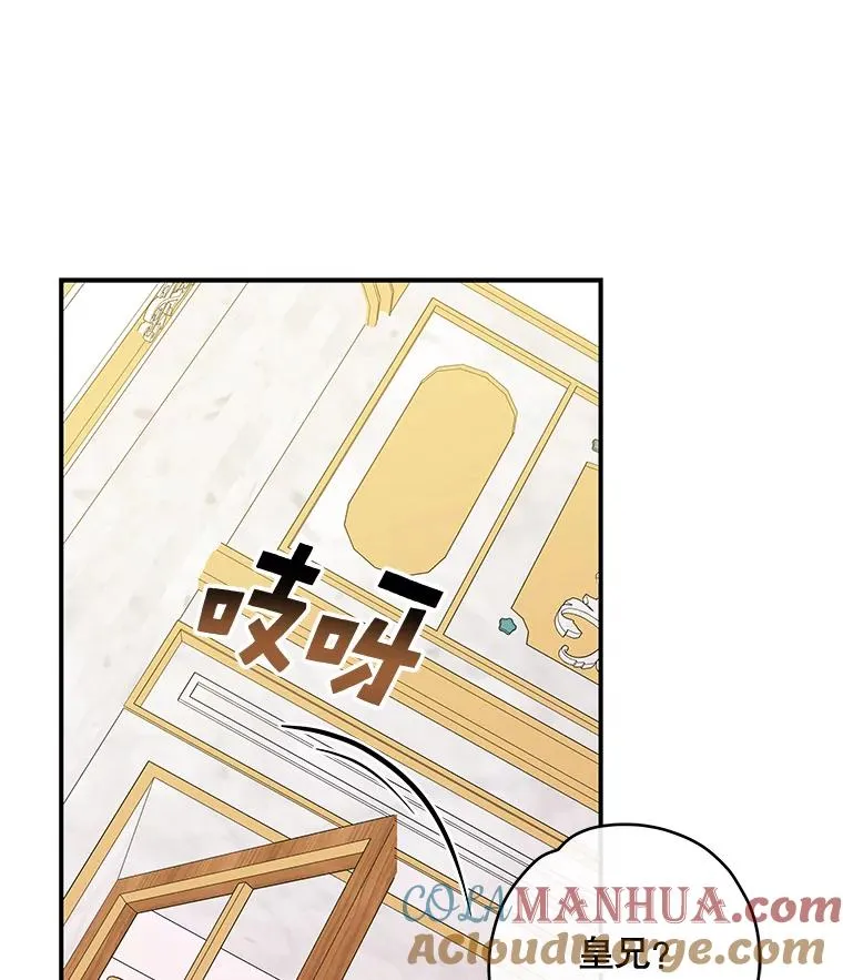 41.3皇子塞奇 第25页