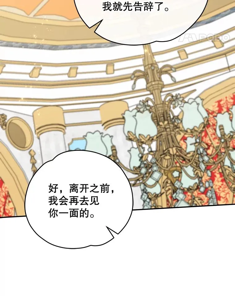 41.3皇子塞奇 第75页