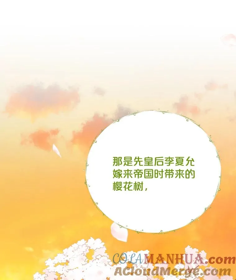 41.3皇子塞奇 第93页
