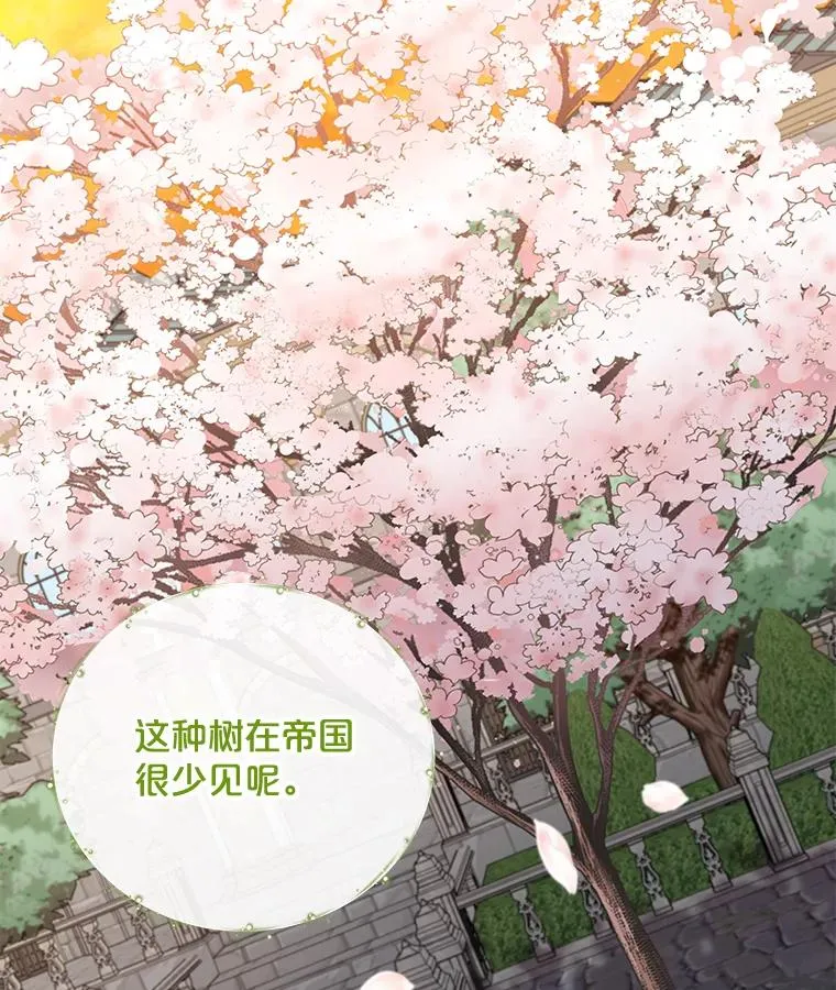 41.3皇子塞奇 第94页