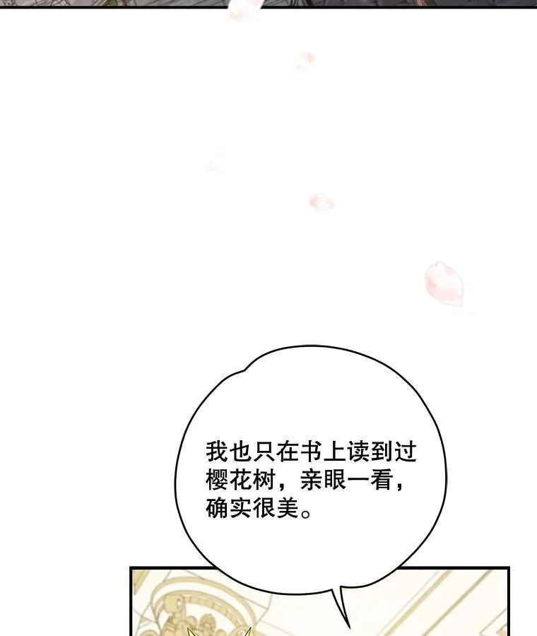 41.3皇子塞奇 第95页