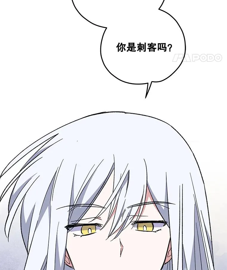 41.3皇子塞奇 第110页