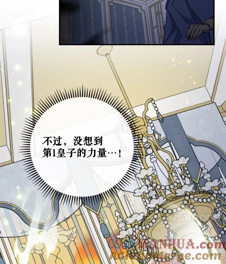 41.3皇子塞奇 第113页