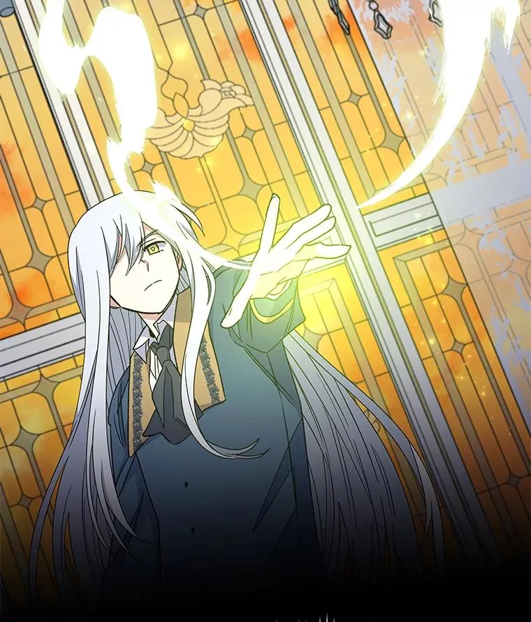 41.3皇子塞奇 第114页