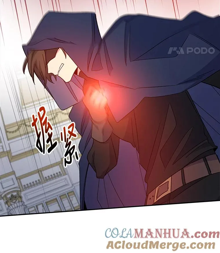 41.3皇子塞奇 第121页