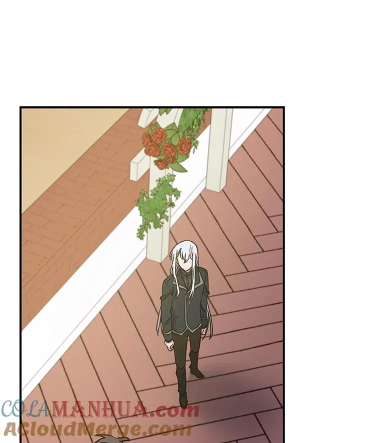 48.皇帝的陈述 第17页