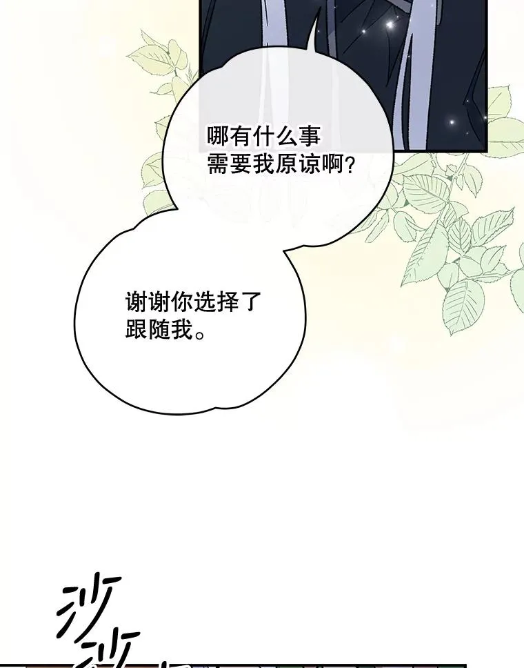48.皇帝的陈述 第26页