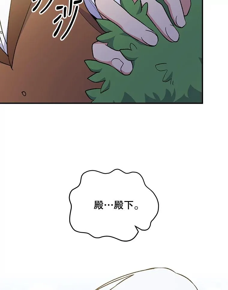 48.皇帝的陈述 第27页