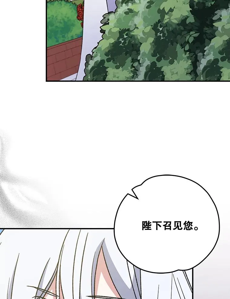 48.皇帝的陈述 第30页
