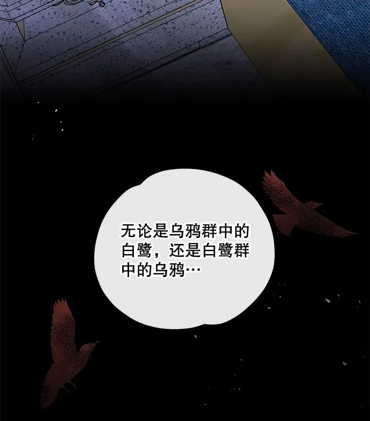48.皇帝的陈述 第56页