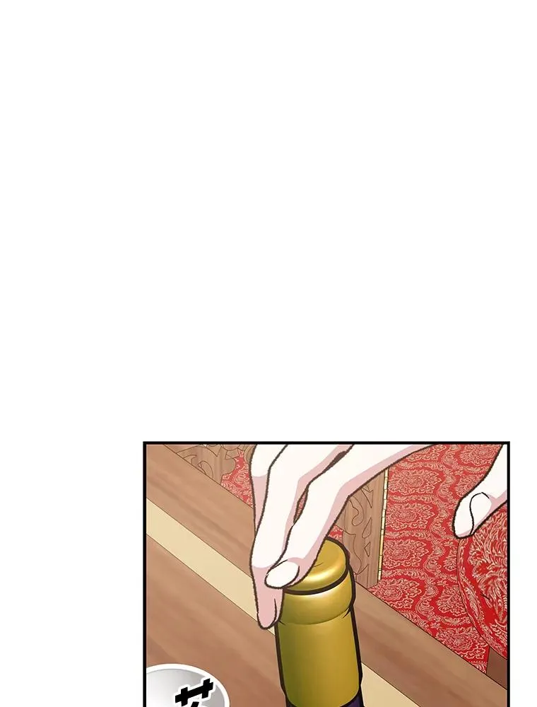 48.皇帝的陈述 第64页