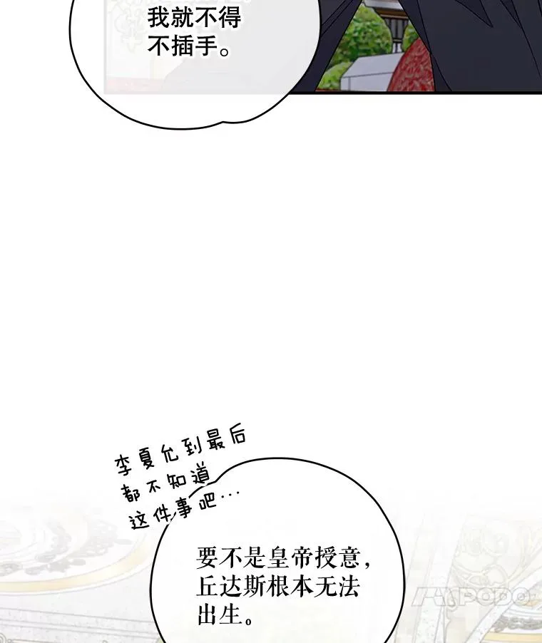 48.皇帝的陈述 第82页