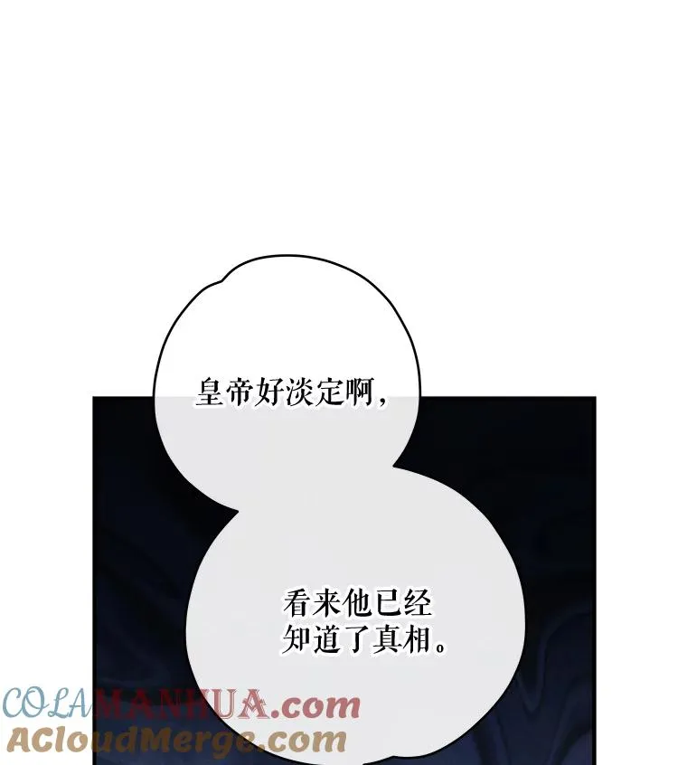 48.皇帝的陈述 第97页