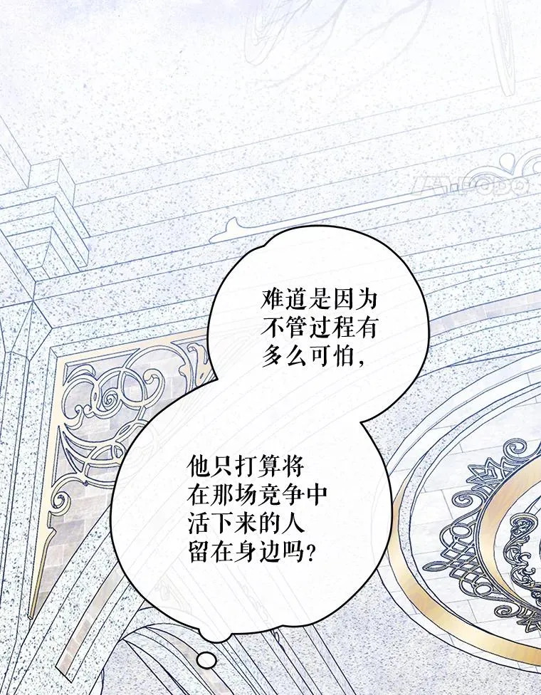 48.皇帝的陈述 第100页