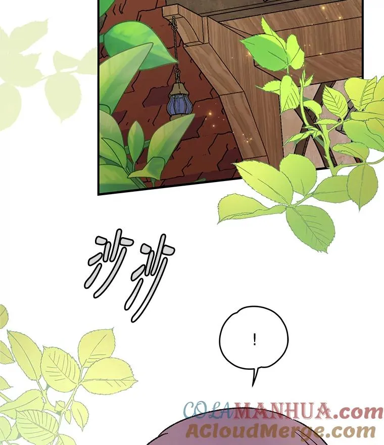 49.重返卢瓦赫 第81页