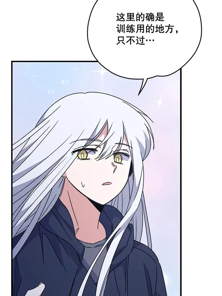 51.精灵实践 第95页