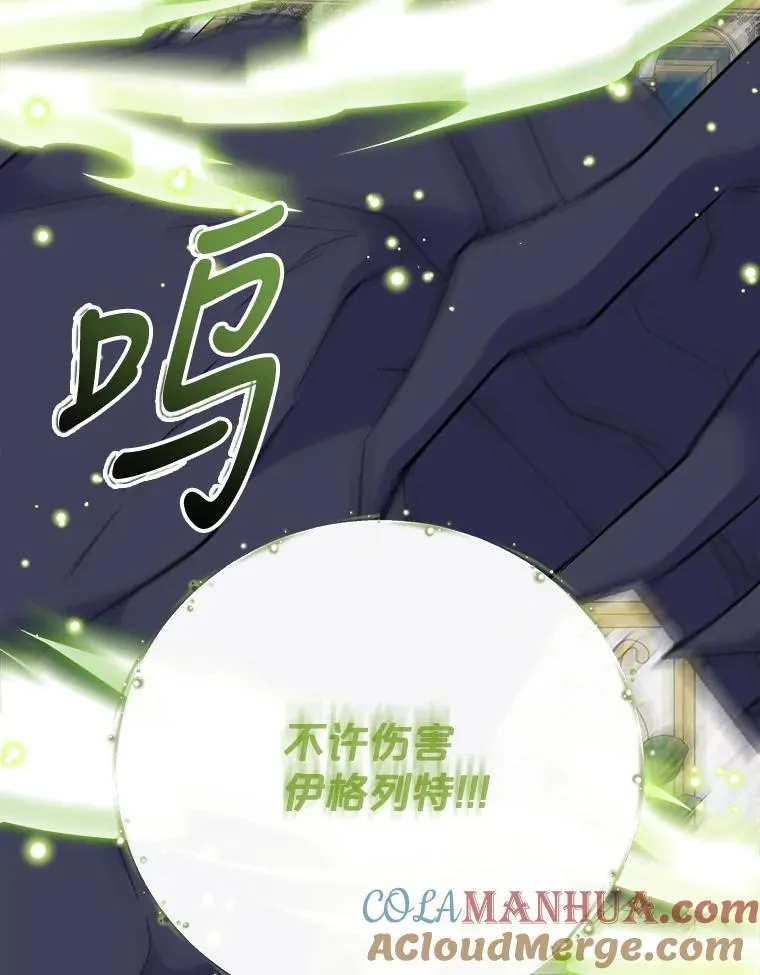 71.尘埃落定 第41页