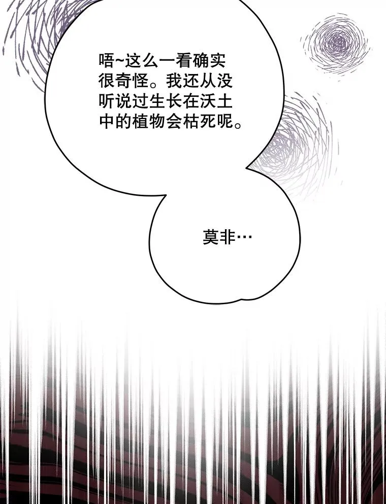 74.巡游之路 第94页