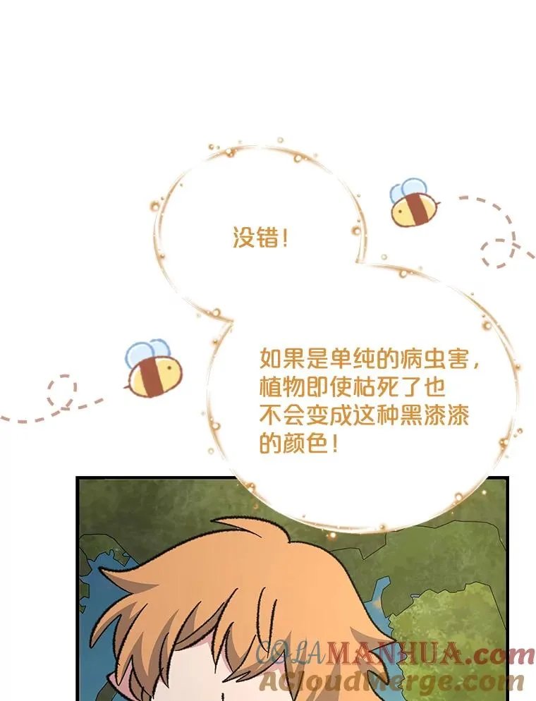 74.巡游之路 第97页