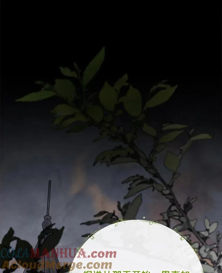 75.勒文领主 第21页