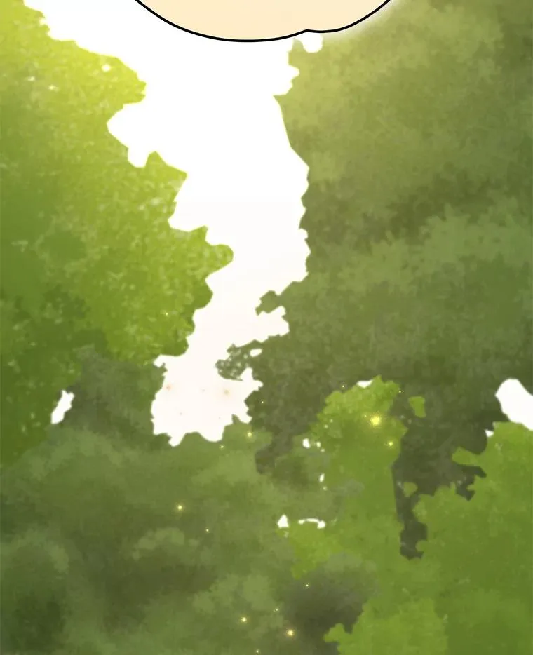 79.精灵格布 第2页