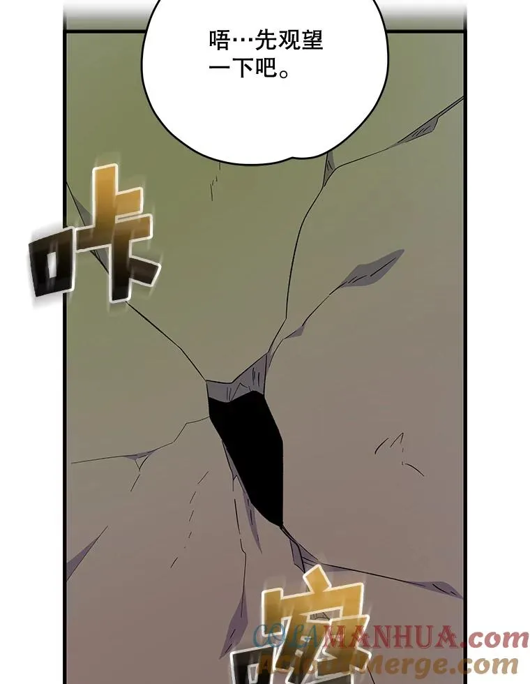 79.精灵格布 第13页