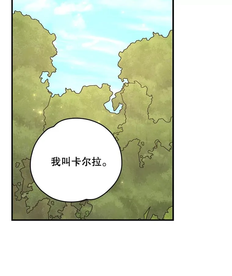79.精灵格布 第48页