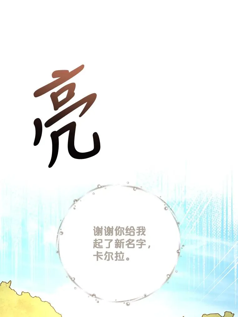 79.精灵格布 第58页