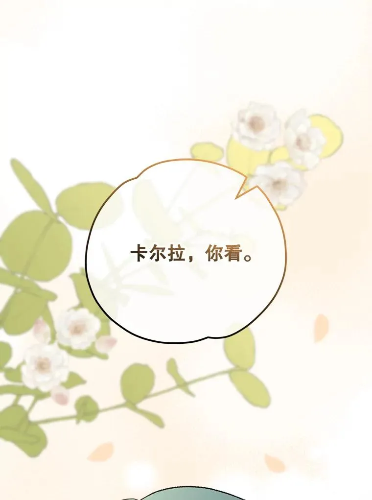 79.精灵格布 第66页