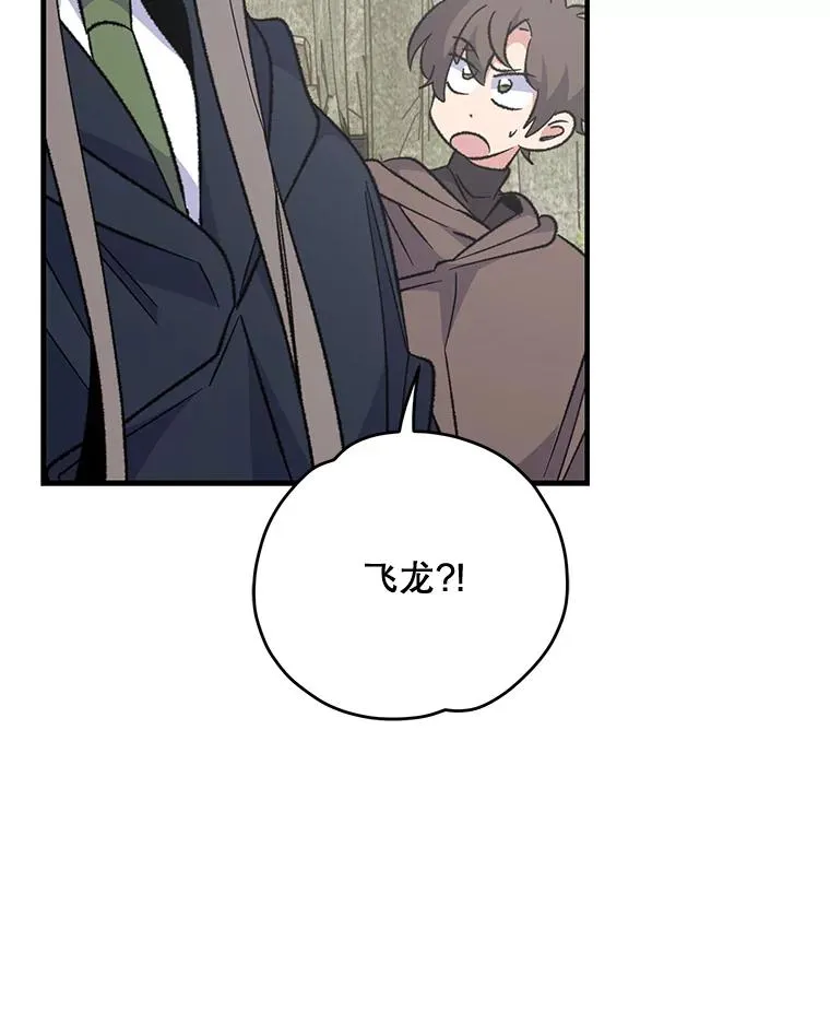 81.蓝飞龙 第8页