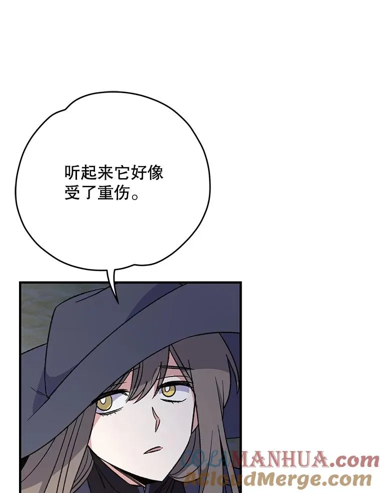 86.带上蓝飞龙 第13页