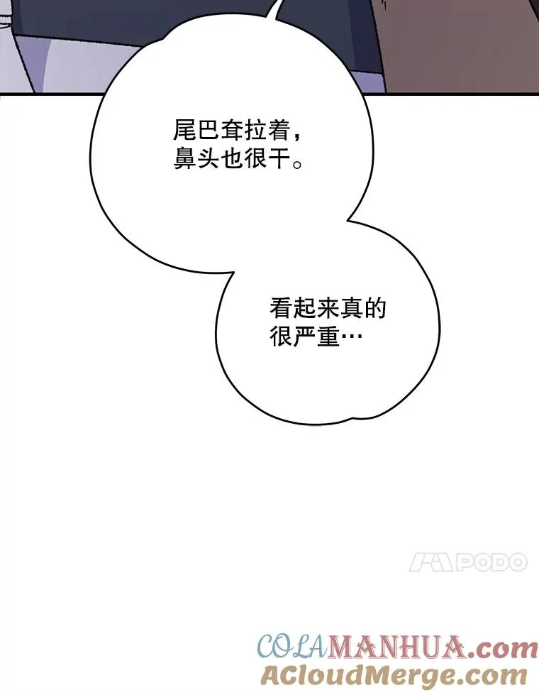 91.寻找千年仙人掌 第49页