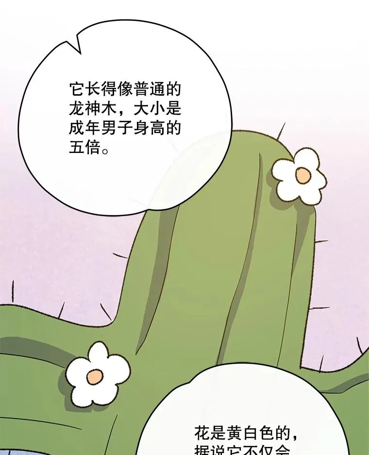 91.寻找千年仙人掌 第71页