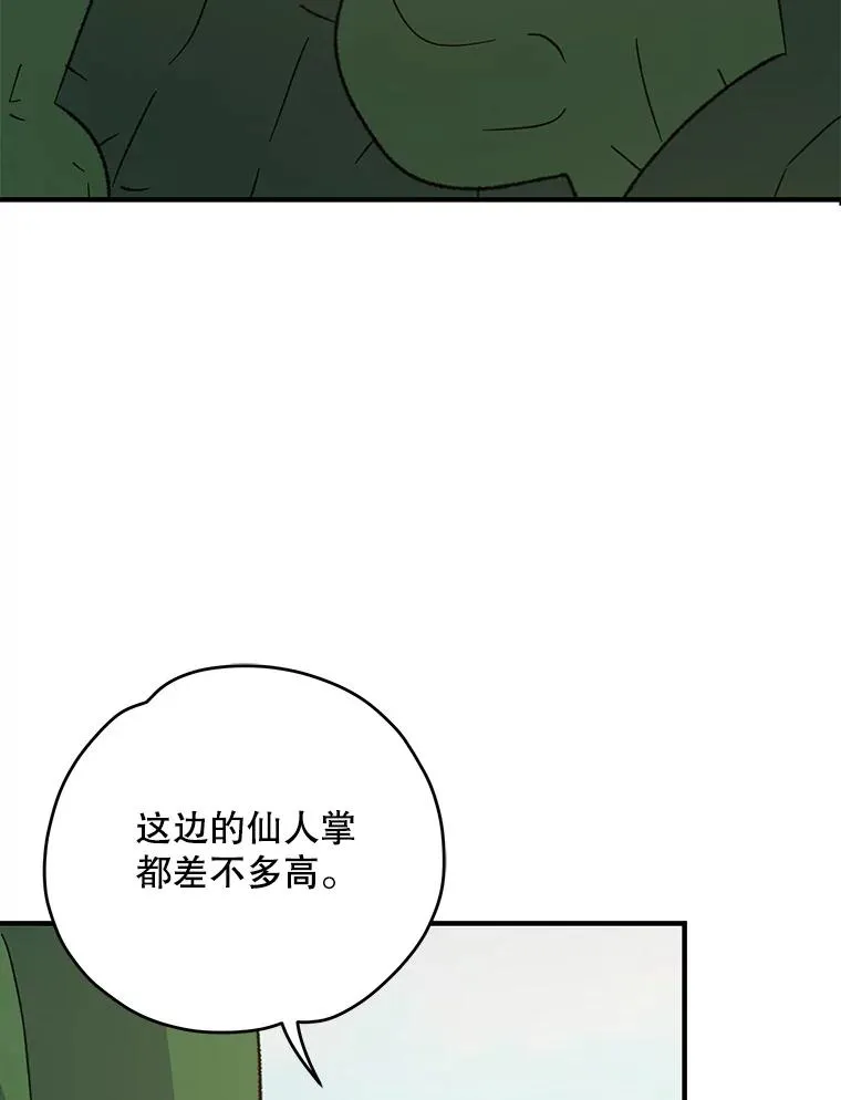 91.寻找千年仙人掌 第78页