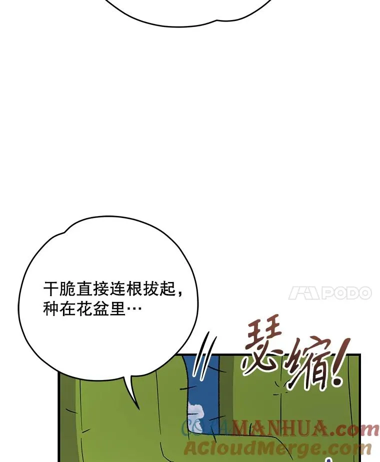 91.寻找千年仙人掌 第93页