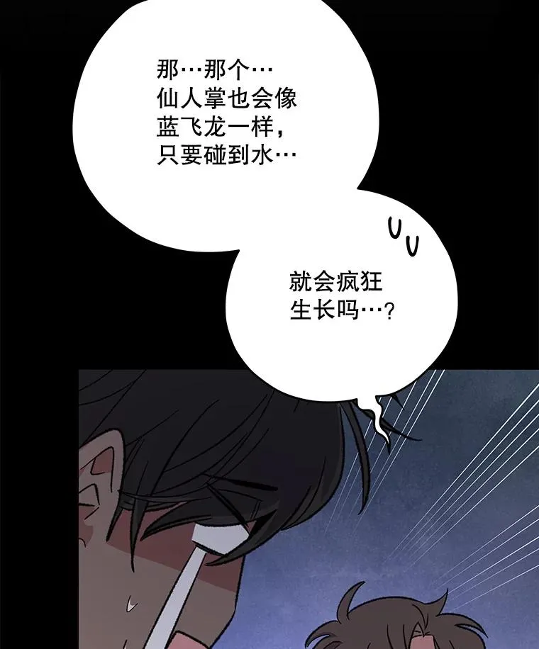 91.寻找千年仙人掌 第102页