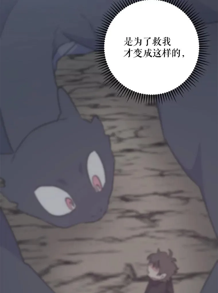 92.治愈飞蓝龙 第74页