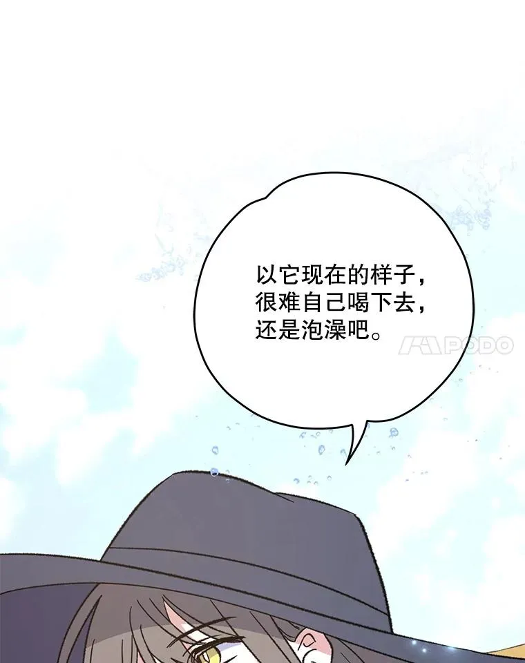 92.治愈飞蓝龙 第110页