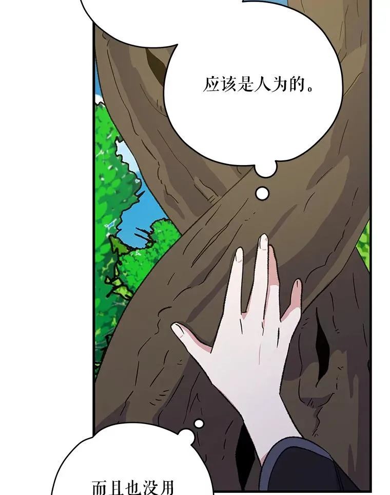 94.寻找魔女 第28页