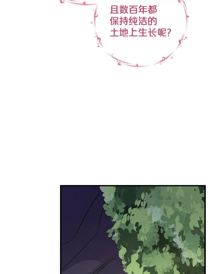 94.寻找魔女 第42页