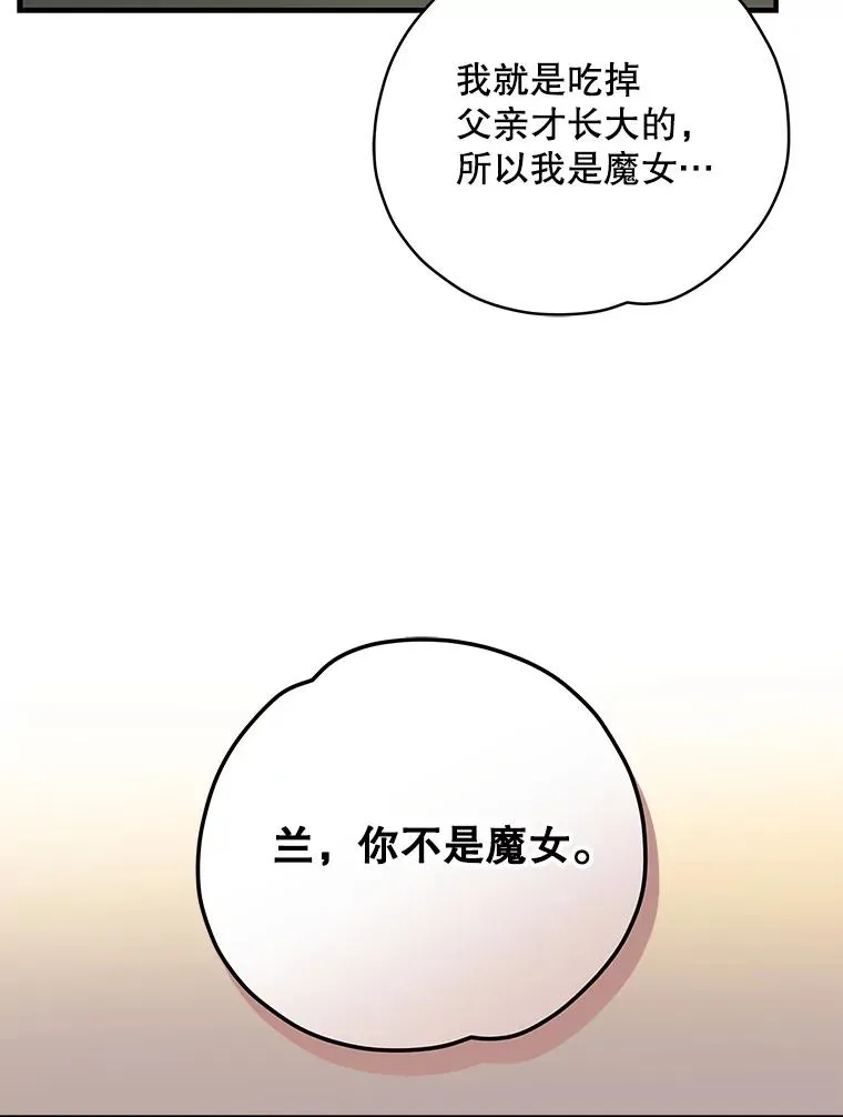 95.兰 第40页
