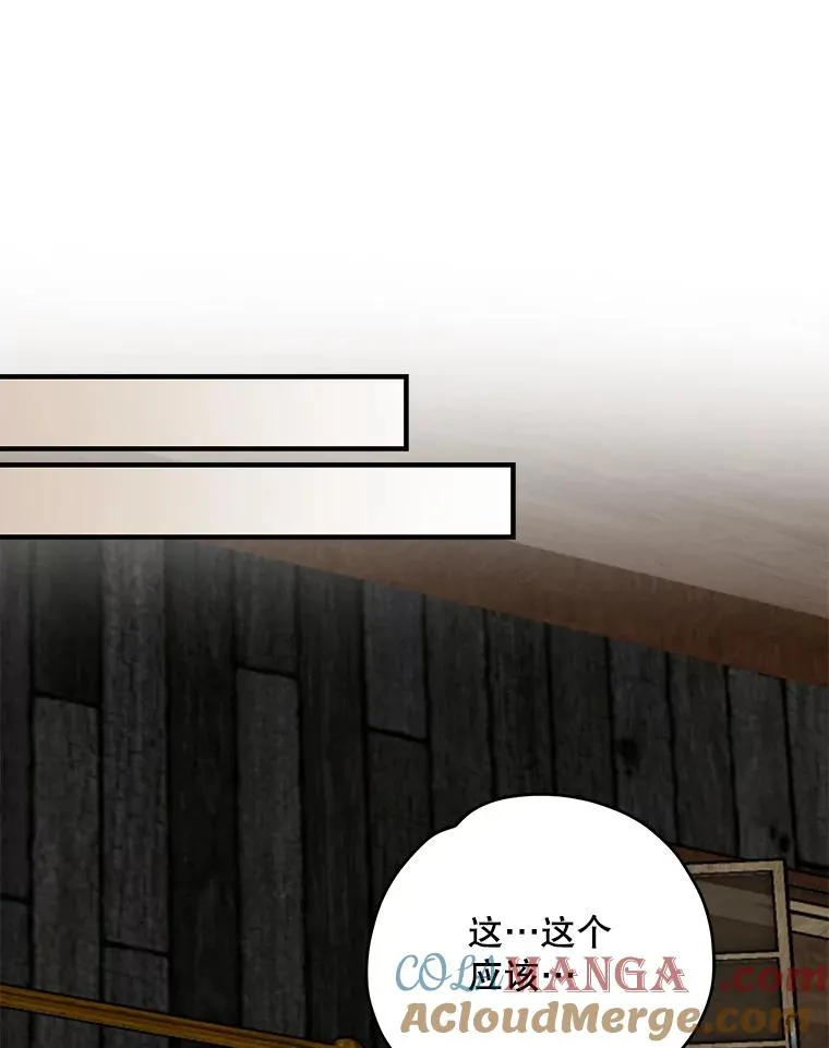 95.兰 第53页