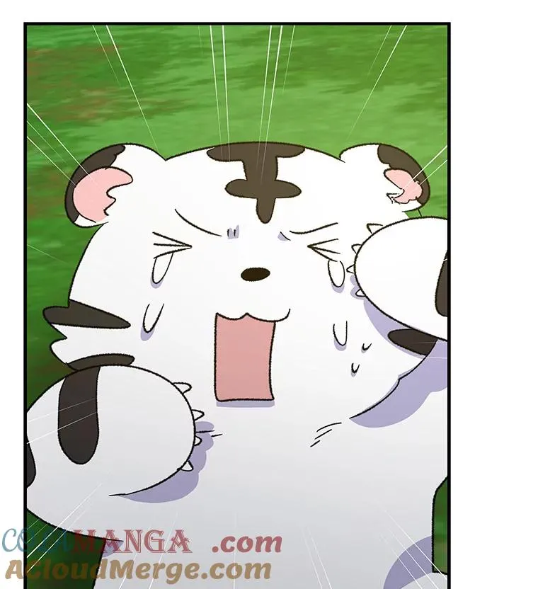 99.白虎的苦衷 第41页