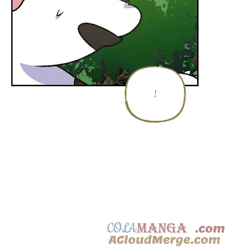 99.白虎的苦衷 第45页