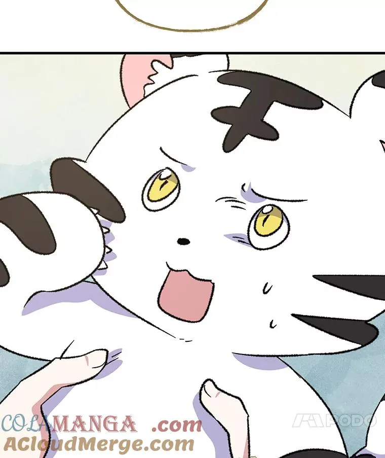 99.白虎的苦衷 第81页