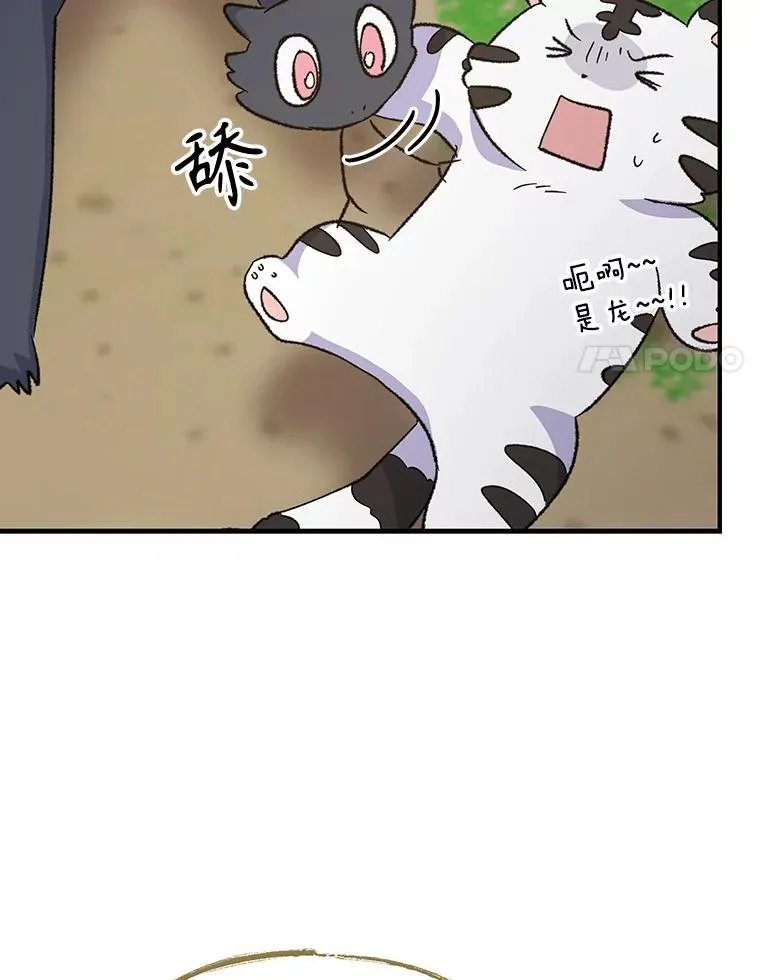 99.白虎的苦衷 第116页