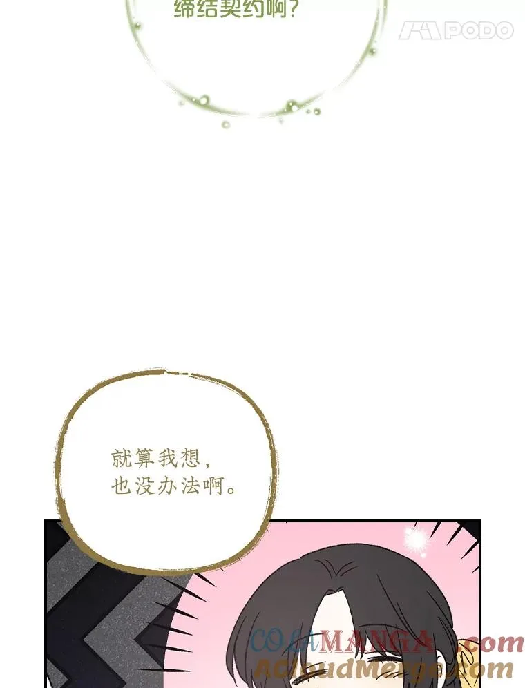 104.夏允的宫殿 第85页