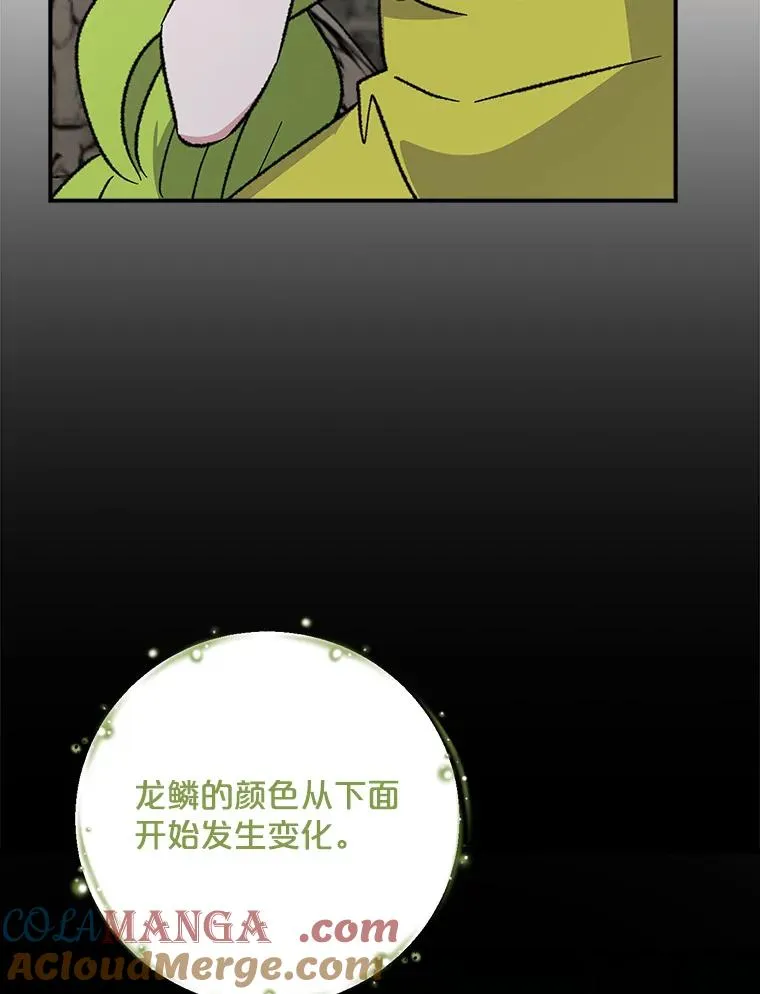 107.嘉亚 第5页